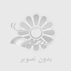 نی نی سایت